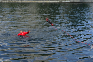 policyjny piknik na Wyspie Młyńskiej