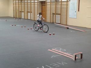 Zmagania na torze przeszkód.