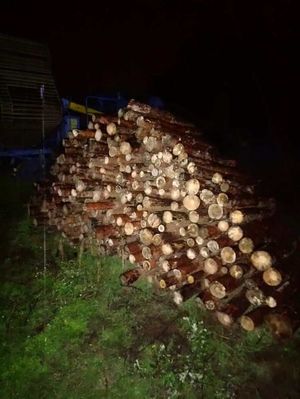 Zdjęcie przedstawi stos drewna.