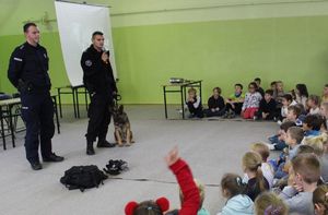 Prezentacja psa i wyposażenia policyjnego.