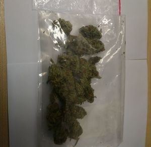 Zabezpieczona marihuana