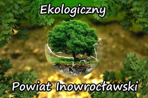 Drzewo w pękniętej bańce ze szkła