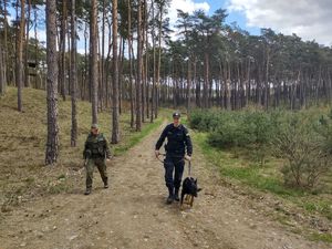 Policjant z psem  i strażnik idą duktem leśnym