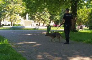 Na terenie miasta wspólna służba