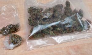 Marihuana w foliowych woreczkach