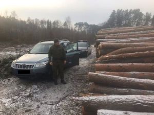 strażnik stoi przy ułożonym drewnie