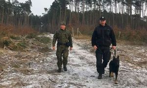 Policjant i strażnik idą przez las