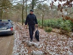 policjant z psem idzie duktem leśnym