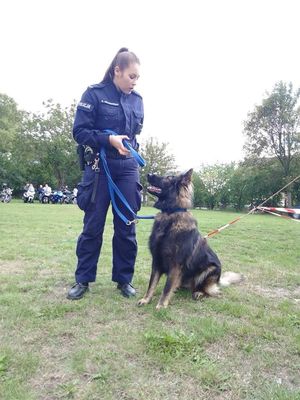 policjantka prezentuje aport psa