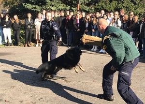 Policjanci ćwiczą z psami