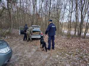 policjanci i strażnicy leśni podczas służby w lesie#2