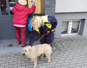 policjantka pochyla się nad psem i głaszcze go