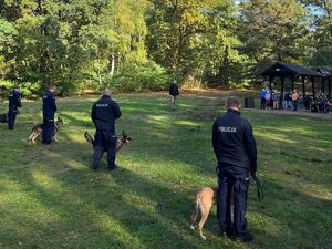 Czterech przewodników wraz z psami służbowymi. W oddali policjant oraz wycieczka szkolna.