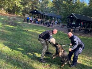 Pokaz gryzienia psa służbowego. W oddali wycieczka szkolna.