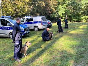 Radiowozy oraz czterech funkcjonariuszy z psami służbowymi.