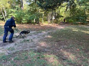 Pies służbowy z przewodnikiem  oraz pozorant w specjalnym stroju.