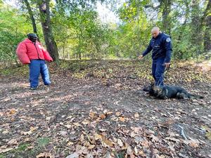 Pies służbowy z przewodnikiem  oraz pozorant w specjalnym stroju.