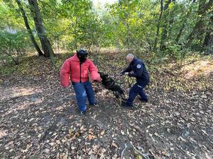 Pies służbowy z przewodnikiem  oraz pozorant w specjalnym stroju.