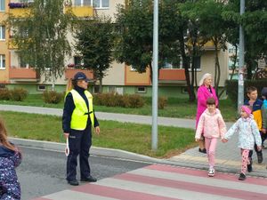 nauka poruszania się po drogach