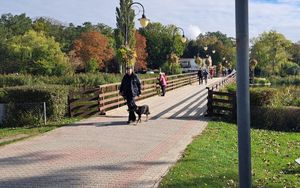 wszystkie zdjęcia policyjne patrole w solankach
