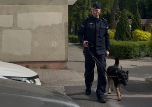 policjant z psem