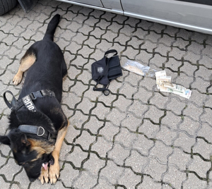 wszystkie zdjęcia sprawa zatrzymania za narkotyki