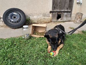 wszystkie zdjęcia dotyczą realizacji sprawy narkotykowej