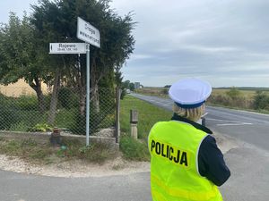 wszystkie zdjęcia działania policjantów na drogach