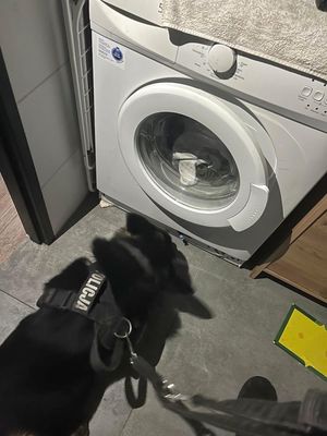 pies ujawnił narkotyki