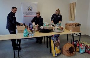 wszystkie zdjęcia zbiórka dla zwierząt oraz wizyta w schronisku