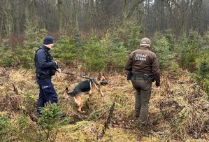 wszystkie zdjęcia patrole policji i straży leśnej na obszarach leśnych
