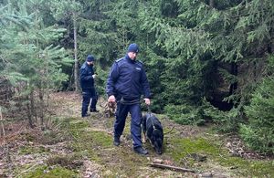 wszystkie zdjęcia działania policjantów i strażników leśnych na obszarach leśnych