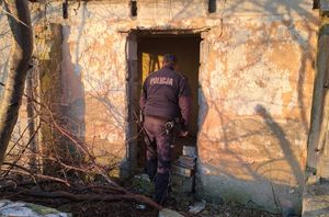 wszystkie zdjęcia działania na rzecz bezdomnych