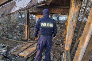 działania dotyczące bezdomności