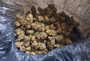 wszystkie zdjęcia dotyczą zabezpieczonych środków oraz zatrzymanego mężczyzny