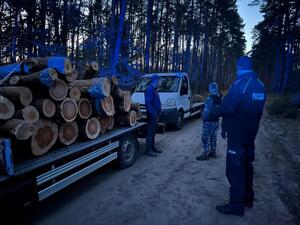 Policjant i Strażnik Leśny kontroluje teren leśny- kontrola pojazdu przewożącego drewno