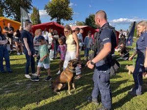 Policyjni profilaktycy oraz przewodnik psa służbowego wraz z psem policyjnym rasy owczarek belgijski malinois na festynie. Przeprowadzają rozmowy z uczestnikami imprezy i pokaz tresury psa.